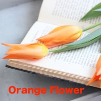 生き方革命◆orange flower