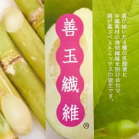 沖縄産機能性食品　沖縄バイオリサーチ