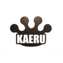 肩こり・腰痛・ヘルニア・脊柱管狭窄・自律神経・スポーツ障害のことなら/ 奈良KAERU整体院/体幹・軸・身体能力向上・食育・エステ・美容整体・ダイエット・免疫力・代謝アップ・橿原市