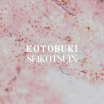 みやざきだい壽整骨院