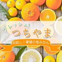 (産地直送)愛媛みかんを全国にお届けフレッシュつちやま