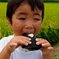 子どもフードバンクKFB