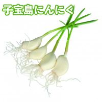 【徳之島産】子宝島にんにくショップ