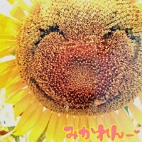 筆もじ屋さん　みかれん