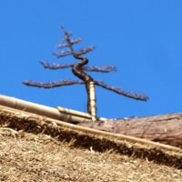 国指定重要文化財村井家住宅保存会