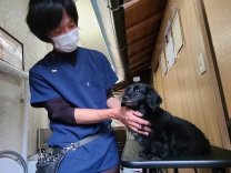 Happiness  Labo（ハピネス　ラボ）