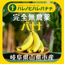 ハレノヒハレバナナ[ハレノヒハレファーム]