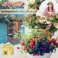 新潟県柏崎市のガーデニングショップensoleilleplace＊アンソレイェプラース＊