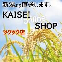 かいせいWeb-shopツクツク店