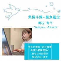 福岡 紫微斗数と風水であなたの運命を読み解く【明石青弓・猫好き占い師】