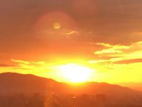 馬渡食品合資会社