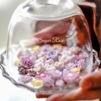 sugar-rose/シュガーローズ