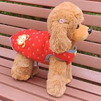 セレクトショップ