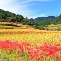 九州の大自然しらき｜合同会社くまもとごはん