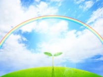 100％未精製シアバターオンラインショップ｜hidamari（ひだまり）