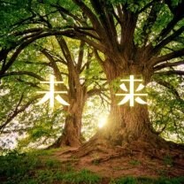 未　来