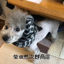 柴田然次郎商店