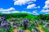 森の学校 やまぐち