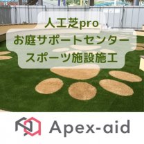 アペックス・エイド