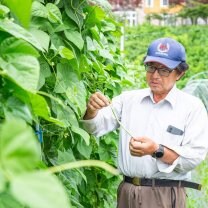 『ベジガーデン畑楽＊きんぺい』信州の高原から元気で美味しい野菜をお届け！