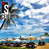 アイズセル合同会社