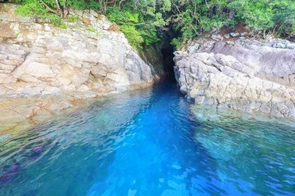 【期間限定】目の前の漁港で水揚げされた新鮮な桜ぶりがお刺身としゃぶしゃぶで食べられるお店【海鮮 バーベキュー 浜焼き屋】普段は本格海鮮バーベキューのお店が３月から４月限定で桜ぶりを提供するお店になります！毎年メディアに取り上げられて大人気の商品です。３月初旬から４月下旬の約１ヶ月半の営業です。ご予約はお早めにお願いします。