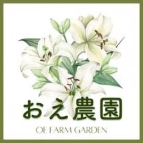 おえ農園　花│百合│プレゼント│全国配送　