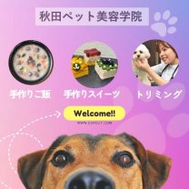 秋田ペット美容学院