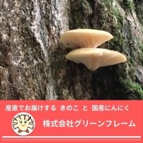 業務用産直のキノコと国産にんにく