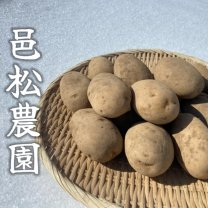 北海道知床産 じゃがいも 邑松農園