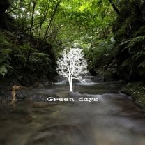 Green days