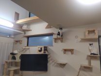 STARMS〈スタームス〉