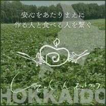 しっでぃぐり〜んネットワーク