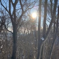 (株)タイヨウ塗装