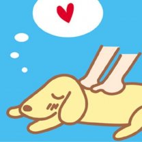 Pet　Cure（ペットキュア）／西東京市の犬のマッサージ
