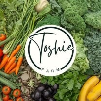 長岡やさいToshie