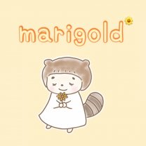 marigold