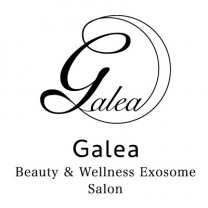 エクソソーム整体サロン「Galea」-ガレア