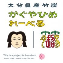 大分県産100%［食べる竹炭］安心安全・無味無臭