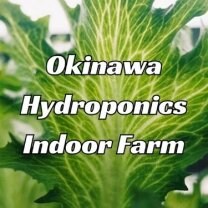 TAMAFARM - タマファーム 沖縄水光栽培 -