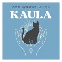 沖縄県西原町の譲渡型猫カフェ「ふれあい保護猫カフェ＆ホテルKAULA（カウラ）」