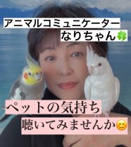 沖縄No.1のアニマルコミュニケーター「なりちゃん」オンライン全国対応のアニコミ（動物通訳士）