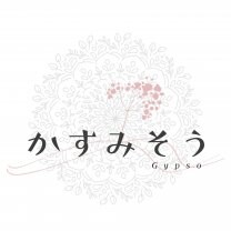 　健康維持・酵素の補給・美容・腸活  /  かすみそう