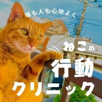 ねこの行動クリニック