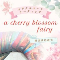 a cherry blossom fairy(ア チェリーブロッサム フェアリー)