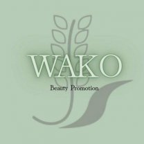 WAKO Academy