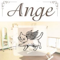 カイロセラピーサロン　アンジェ