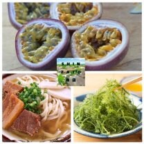 SHINZATO （シンザト）商店