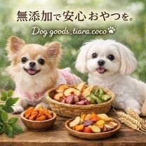 わんちゃんおやつのお店/Dog goods_tiara.coco