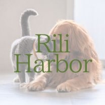Rili Harbor